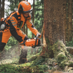 Forstarbeiter fällt Baum mit Stihl MS 300 C-M Benzinmotorsäge im Wald