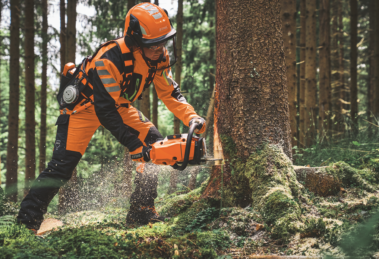 Forstarbeiter fällt Baum mit Stihl MS 300 C-M Benzinmotorsäge im Wald