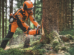 Forstarbeiter fällt Baum mit Stihl MS 300 C-M Benzinmotorsäge im Wald